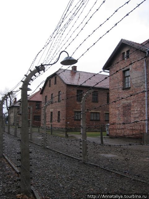 Убежать из концлагеря было не возможно. Колючая проволока под напряжением в два ряда вокруг корпусов... Освенцим, Польша