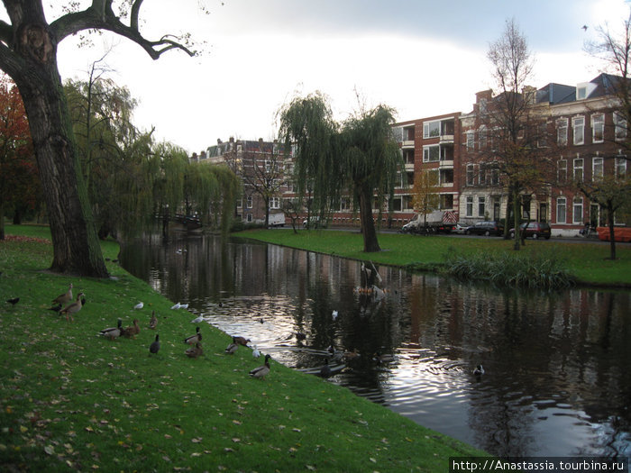 Роттердам Роттердам, Нидерланды