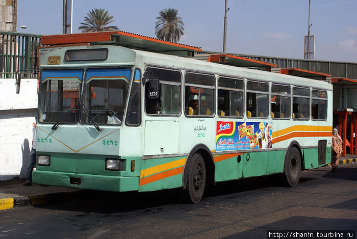 Каирский городской автобус