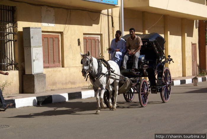 Конный экипаж в центре Луксора