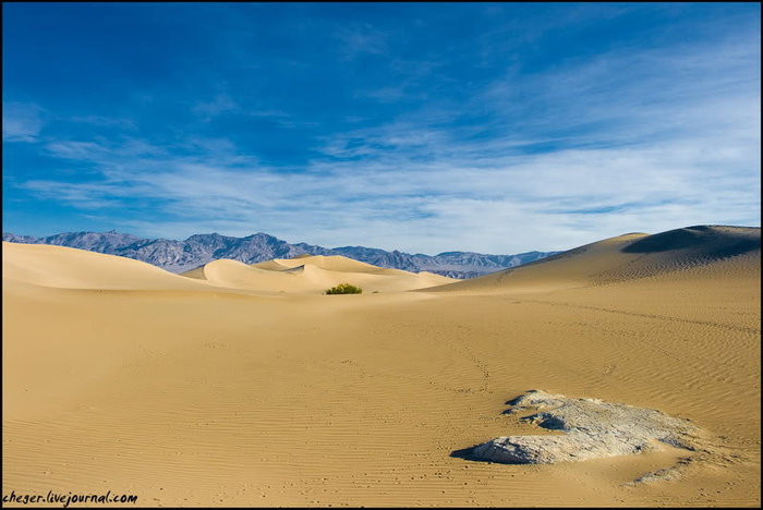 Путешествия по национальным паркам США - Пустыня