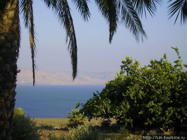 озеро Кинерет Табха (Нагорная Проповедь), Израиль