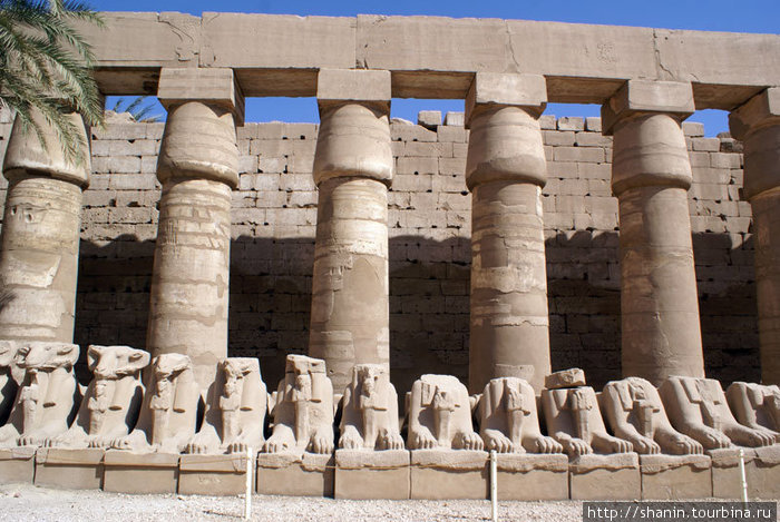 Колонны и бараны Луксор, Египет