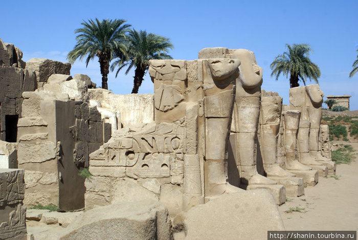 Руины и пальмы Луксор, Египет