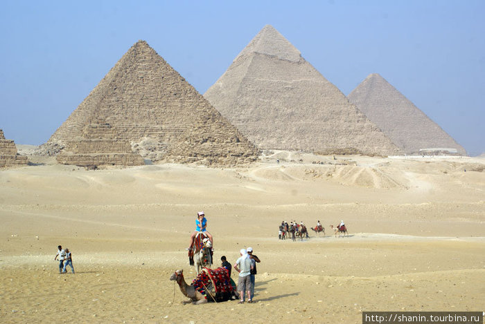 Туристы на верблюдах на фоне пирамид Гиза, Египет