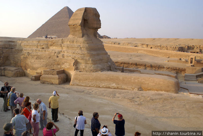 Сфинкс на фоне пирамиды Хеопса Гиза, Египет