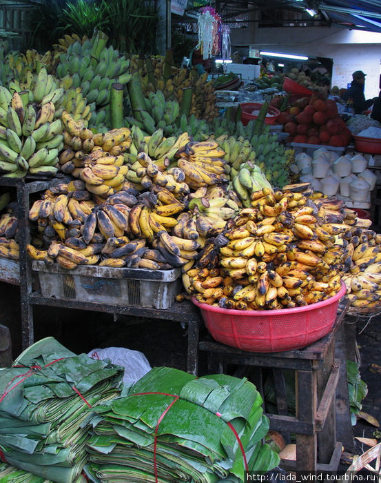 А вот уже желтые, мелкие и с косточками. Прикольно, но я не очень их люблю.
А на переднем плане — банановые листья. Сразу вспоминается Индия, где листья — это тарелки для еды :) А вот уже желтые, мелкие и с косточками. Прикольно, но я не очень их люблю.
А на переднем плане — банановые листья. Сразу вспоминается Индия, где листья — это тарелки для еды :)