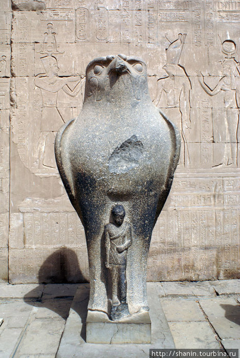 Фигура древнеегипетского бога Гора (в образе хищной птицы) перед входом в храм. Эдфу, Египет