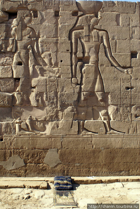 Коврик для молитв Аллаху — перед стеной с изображением древнеегипетских богов — жизнь меняется, но не полностью Ком-Омбо, Египет