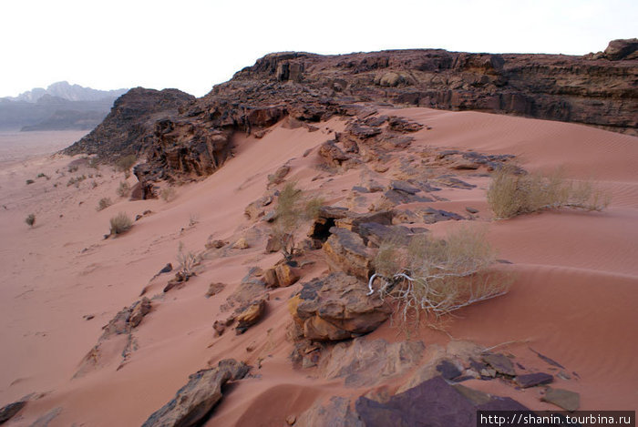 Розовый песок Пустыня Вади Рам, Иордания
