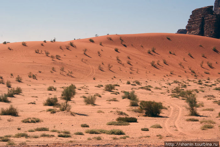 Бархан красного песка Пустыня Вади Рам, Иордания