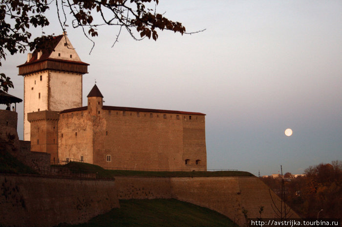 Нарвский замок Нарва, Эстония