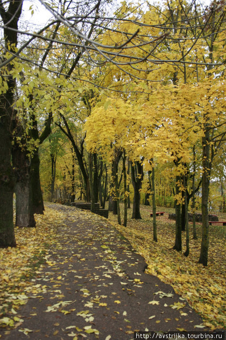 осень в Темном саду Нарва, Эстония