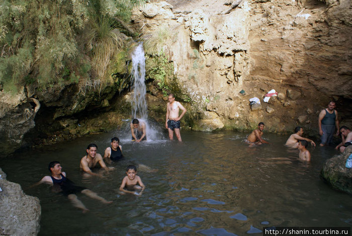 Горячие источники на берегу Мертвого моря Провинция Карак, Иордания