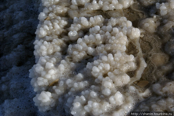 Кристаллы соли на берегу Мертвого моря Провинция Карак, Иордания