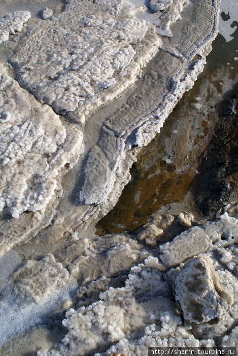Соль на берегу Мертвого моря. Снято с высоты 1 метр, но ощущение, что это вид земли с самолета. Провинция Карак, Иордания