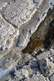 Соль на берегу Мертвого моря. Снято с высоты 1 метр, но ощущение, что это вид земли с самолета.