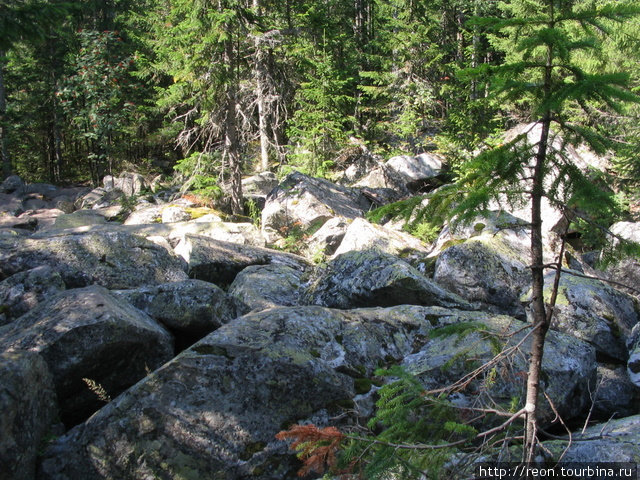 Каменные реки из гигантских валунов — типичная черта таганайского ландшафта. По ним очень прикольно прыгать! Златоуст, Россия