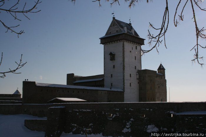 Нарвский замок Нарва, Эстония