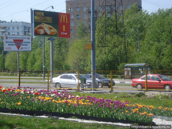 Москва в начале мая или когда сакура цветет Москва, Россия