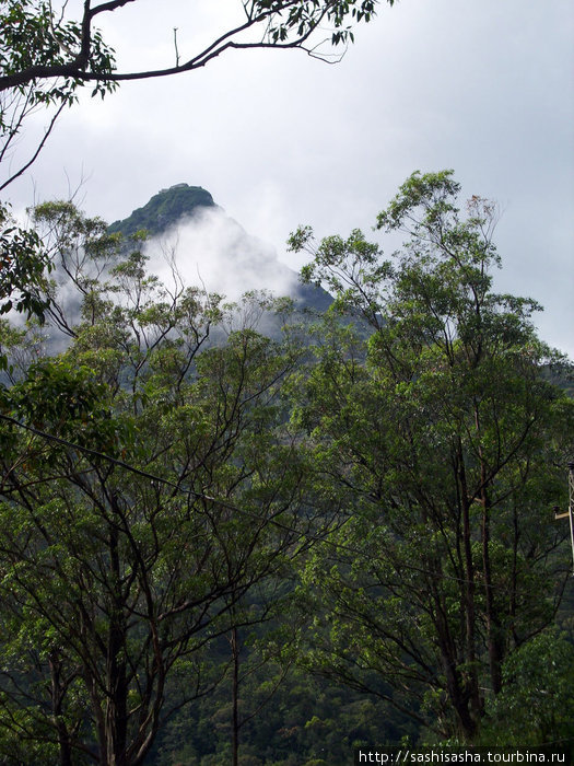 Как только мы спустились вниз, вершину заволокло облако. Шри Пада Пик (Пик Адама 2243м)  заповедник дикой природы, Шри-Ланка