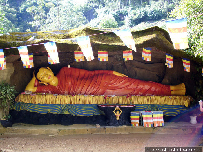 Пик Адама или неконтролируемый поток сознания Шри Пада Пик (Пик Адама 2243м)  заповедник дикой природы, Шри-Ланка