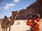 Снимаем верблюда на видео