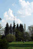 из Ботанического сада видно Останкинскую башню