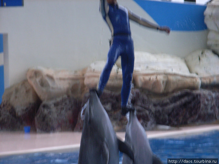 Диснейленд с дельфинами: Хуаляньский Океан-парк Уезд Хуалянь, Тайвань