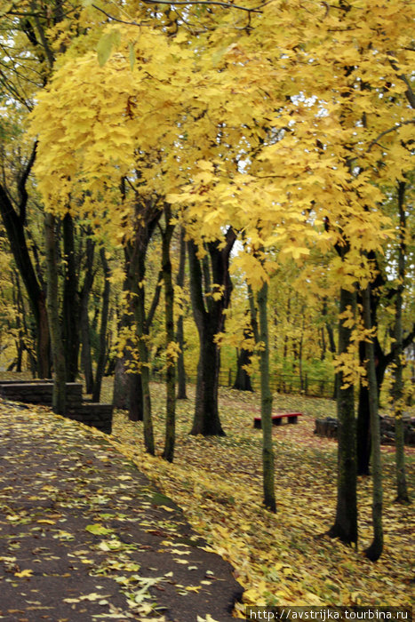 осень в Темном саду Нарва, Эстония