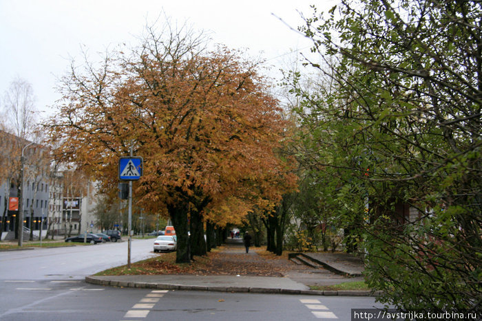 улица Пушкина Нарва, Эстония