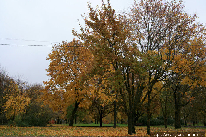 осень в Нарве Нарва, Эстония