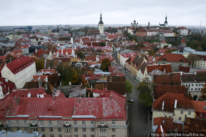 крыши Таллин, Эстония
