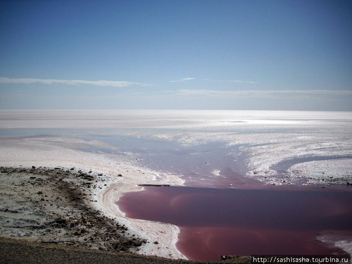 Странного кровавого цвета вода Таузар, Тунис