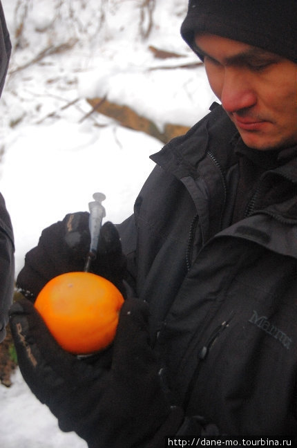 Пациентом, которому делали уколы, был выбран апельсин Руза, Россия