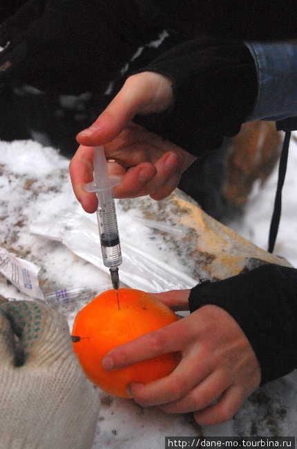 Пациентом, которому делали уколы, был выбран апельсин Руза, Россия