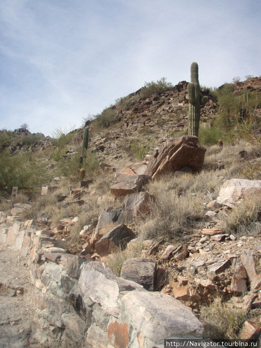 Аризона - Любовь моя! Аризона - Любовь моя!