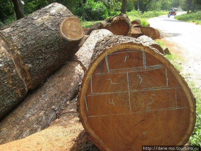 Мастерская по дереву Центральная провинция, Шри-Ланка