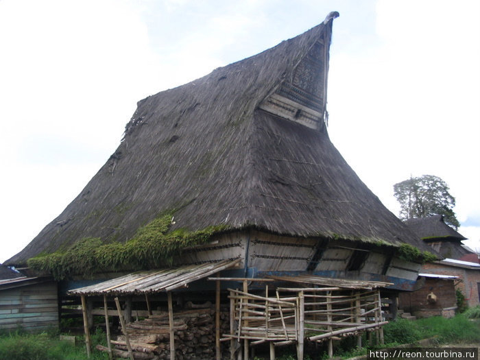Старый батакский дом с характерной загнутой крышей. Когда-то так выглядели все каро-батакские деревни, но в 1904 г. сами батаки много домов сожгли, чтобы они не достались захватчикам-голландцам Суматра, Индонезия