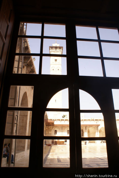 Вид через окно на внутренний двор мечети Омейядов Алеппо, Сирия