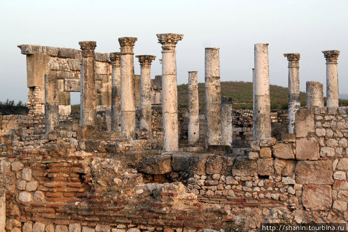 Руины храма в Афамии на рассвете Афамия, Сирия