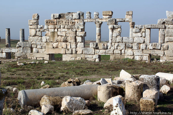 Колонны стоящие и лежащие Афамия, Сирия