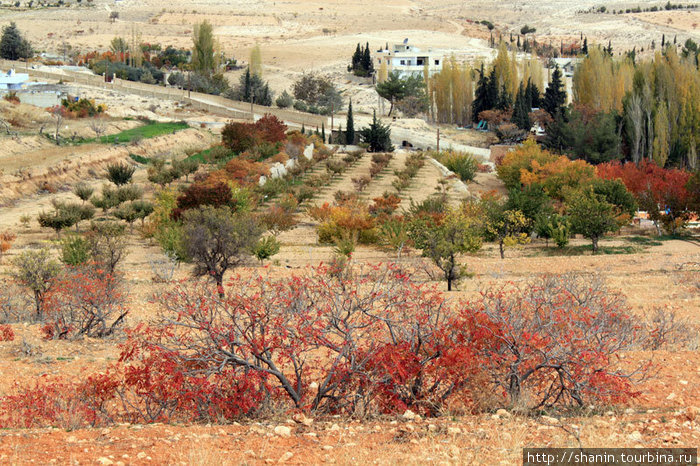 Осень в Маалуле Маалула, Сирия
