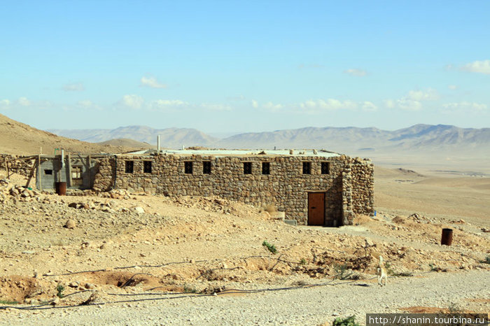 Жилой дом недалеко от входа на территорию монастыря Мар-Муса-аль-Хабаси, Сирия
