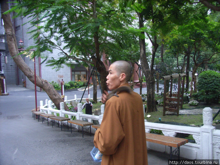 Монахиня с белкой Дашу, Тайвань