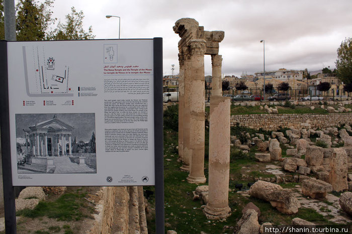 Колонны храма Венеры Баальбек (древний город), Ливан
