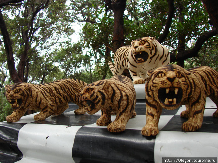 Когда то здесь водились тигры Ява, Индонезия