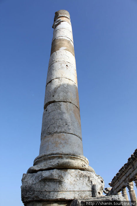 Триумфальная колонна посреди улицы