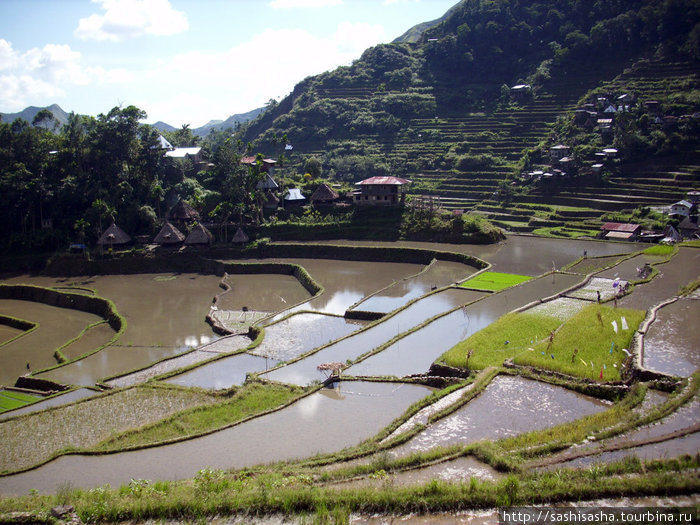 Рисовые террасы и филиппинские девушки Банауэ Рисовые Террасы, Филиппины