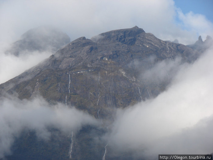 Чаще всего гора в тумане Штат Сабах, Малайзия